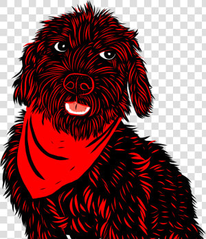 Https     fundacioncbh   Cl    Labradoodle  HD Png Download