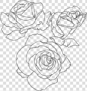 Rose Lineart   Transparent Rose Line Art  HD Png Download