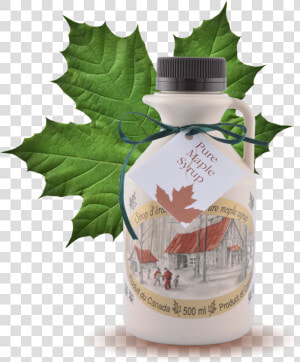 Maple Syrup Pint  500ml   Maple Syrup Maple Leaf Canada Souvenirs  HD Png Download