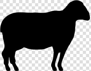 Clip Art Texas Longhorn Gyr Cattle Beef Cattle Highland   Vaca Silhueta Png  Transparent Png