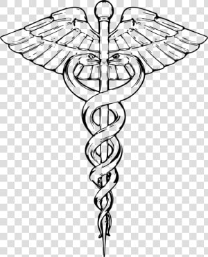 Line Art plant symmetry   Caduceus Line Drawing  HD Png Download