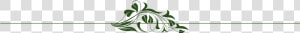 Floral Line Dividers Png  Transparent Png