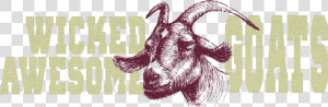 Wicked Awesome Goats   Stubborn Goat  HD Png Download