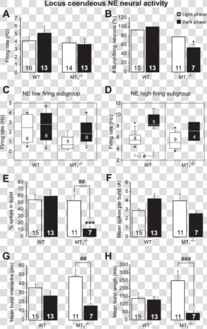 Glut 4 Adipose Tissue High Fat Diet  HD Png Download