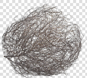 Tumbleweed Png  Transparent Png