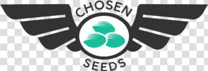 Buy Cannabis Seeds Chosen Seeds Delivered To Your Door  HD Png Download