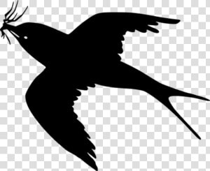 Free Png Download Cartoon Black Bird Flying Png Images   Simple Black Bird Drawing  Transparent Png