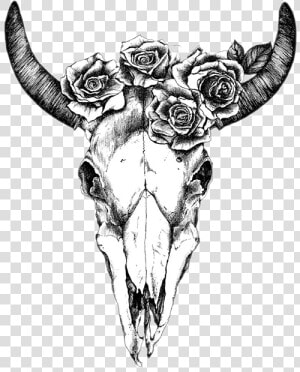 Texas Longhorn Drawing Human Skull Symbolism Bull   Cow Skull With Flowers Drawing  HD Png Download