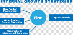 Strategies To Drive Organic Growth Chart   Flsmidth  HD Png Download