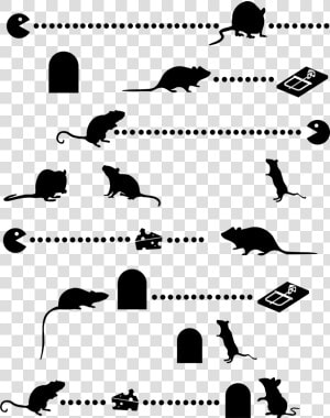 Transparent Mouse Silhouette Png   Siluetas De Gatos Y Ratones  Png Download