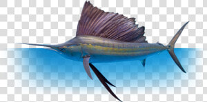 Whether You Re Fishing With Family And Friends  Or   Deep Sea Fishing Png  Transparent Png