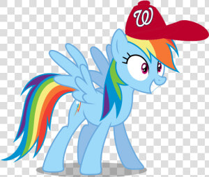 Rainbow Dash Wearing A Washington Nationals Cap   Mlp Rainbow Dash Excited  HD Png Download