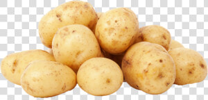 Russet Burbank Potato   Michigan Potatoes  HD Png Download