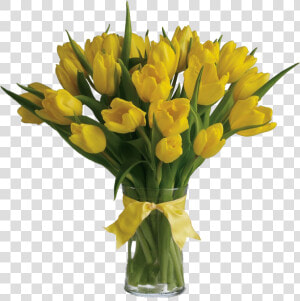 Yellow Tulips Png Clipart   T140 1a  Transparent Png