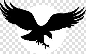 Clan Of The American Eagle Png Logo   American Eagle Logo  Transparent Png