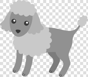 Miniature Poodle Puppy Toy Poodle Clip Art   Poodle Puppy Clip Art  HD Png Download