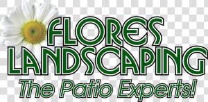 Flores Landscaping Services Inc Logo   อาเซียน  HD Png Download