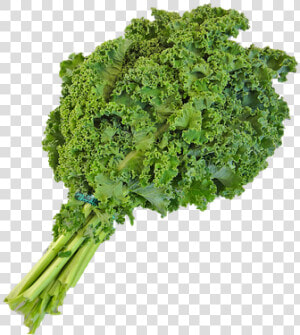 This Alt Value Should Not Be Empty If You Assign Primary   Kale Transparent Background  HD Png Download