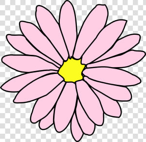 Pink Daisy Flower 3 Clip Art   Colorful Flower Clip Art  HD Png Download