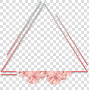  triangle  frame  flower  pink  rose  مثلت  اطار  ورد   Neon Figures Png  Transparent Png