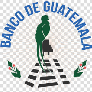 Guatemala Flag Png  Transparent Png