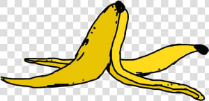 Skin Clipart Banana   Clip Art Banana Peel  HD Png Download