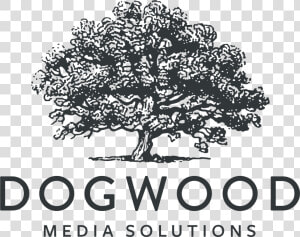 Dogwood Media Solutions  HD Png Download