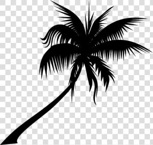  planta  palmera  silueta   Palm Trees Vector Transparent  HD Png Download