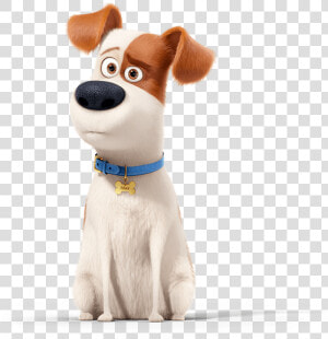 Transparent Secret Life Of Pets Png   Secret Life Of Pets 3  Png Download