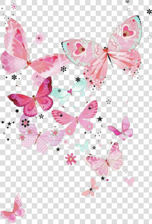 Pink Butterfly Png Transparent Image   Transparent Background Pink Butterfly Png  Png Download