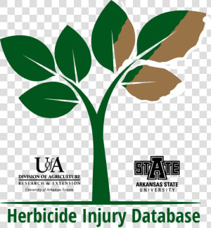 Herbicide Injury Database Logo   Arkansas State University  HD Png Download