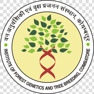 Institute Of Forest Genetics  amp  Tree Breeding Ifgtb  HD Png Download