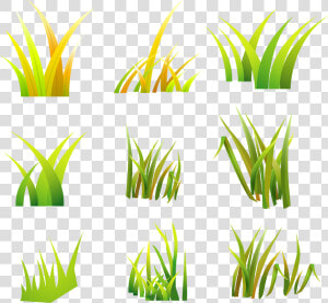 Desert Grass Vector   Png Download   Grass Vector  Transparent Png