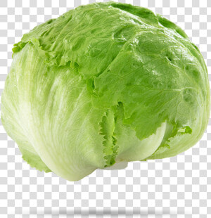 Iceberg Lettuce   Transparent Background Iceberg Lettuce Png  Png Download