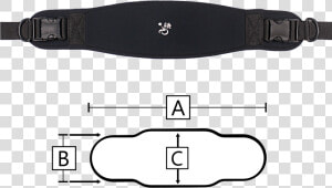 Belt Anchor Style Dimensions   Belt  HD Png Download