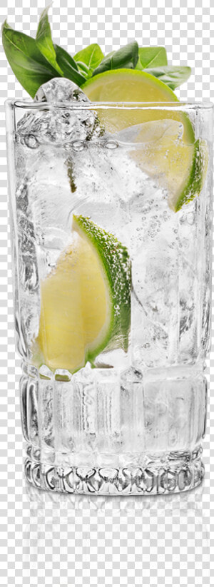 Vodka Gin Tonic Png  Transparent Png