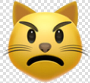  emoji  emojicat  smiley  smail  angry  hate  cat  freetoedit   Do Your Homework Reminder  HD Png Download