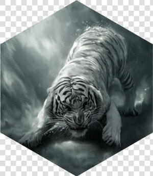 Painting White Tiger Angry   Siberian Tiger In Water  HD Png Download