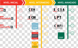 Comptia  HD Png Download