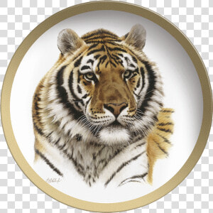 Transparent Tiger Head Png   Guy Coheleach Tiger Heads  Png Download