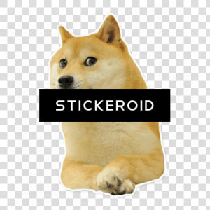 Transparent Doge Png   Doge Big Bro Png  Png Download