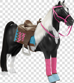 American Paint Horse Pony Morgan Horse Our Generation   Horse Doll Generation Png  Transparent Png