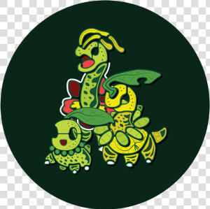 Chikorita evolution   Png Download   Cartoon  Transparent Png