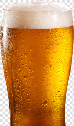 Delicious Beer  HD Png Download