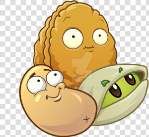 Plants Vs Zombies Nuts   Plants Vs Zombies Wall Nut  HD Png Download