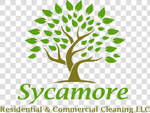 Sycamore Residential  amp  Commercial Cleaning Llc  HD Png Download