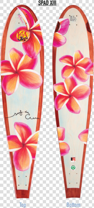 Plumeria Mahogany Longboard   Surfboard With Plumeria  HD Png Download