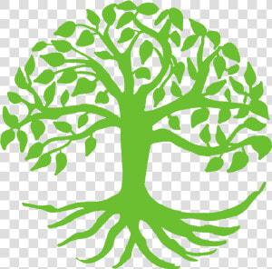 Spiritual Growth Clipart   Tree Of Life Svg  HD Png Download