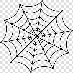 Spider Web Drawing   Transparent Spider Web Cartoon  HD Png Download