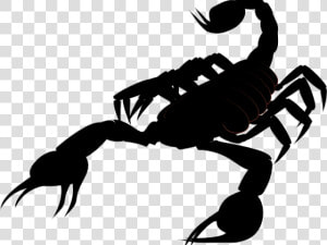 Free On Dumielauxepices Net   Scorpion Clip Art  HD Png Download